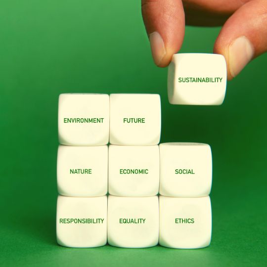 What Drives Sustainability Trends in Business? 